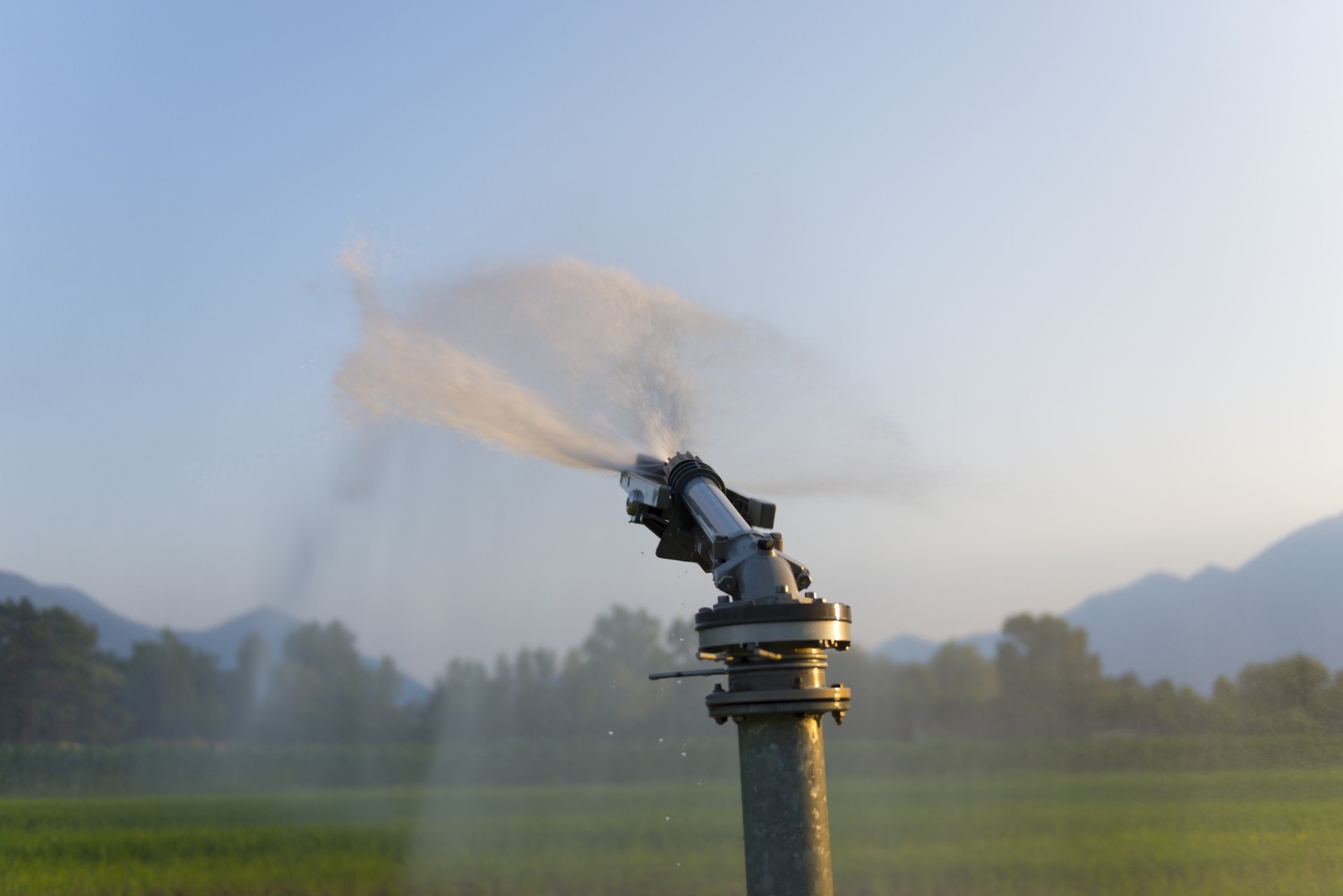 trion-sistemas-de-riego-inteligente-con-iot-optimizacion-del-uso-del-agua-en-chile